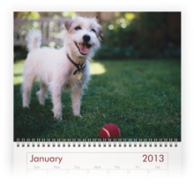 dog photo calendar