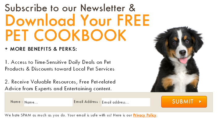 free pet cookbook download