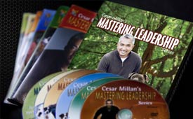 Cesars Way Mastering Leadership DVD Series