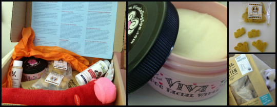 examples of products in Bugsy's Box for dogs