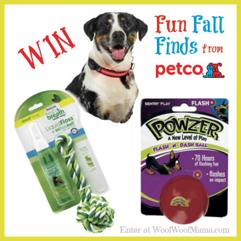 Petco Fall Finds Giveaway Petco Fall Finds Giveaway