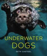 Underwater Dogs Book by Seth Casteel
