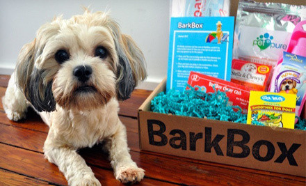 barkbox for dogs