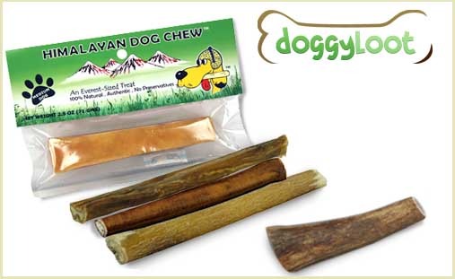 doggyloot sampler pack of dog chews