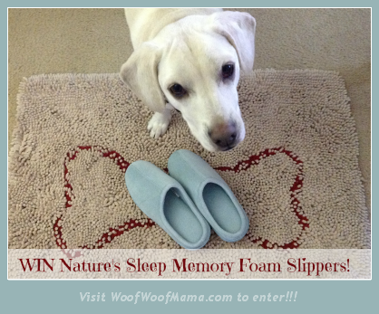win memory foam slippers