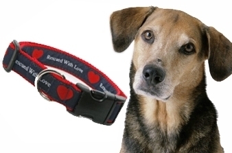 rescue dog, rescued with love, dog collar, dogs