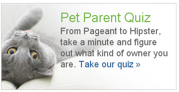 take qui what kind of pet parent are you