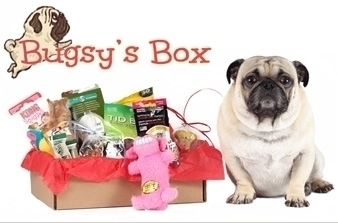 bugsys box for dogs