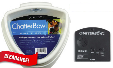 chatterbowl talking dog bowl