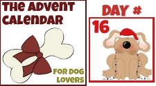 day 16 advent calendar for dogs