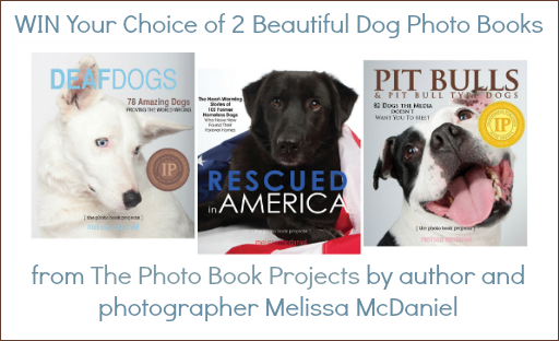 dog photo books by Melissa McDaniels