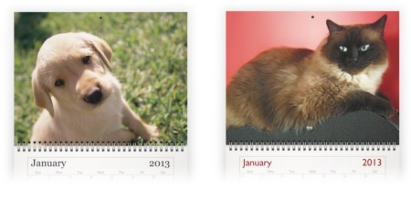 make your own pet photo calendar