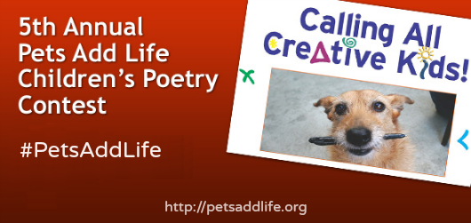poetry contest for kids