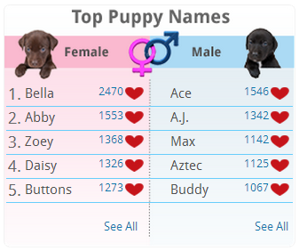 Best on sale puppy names