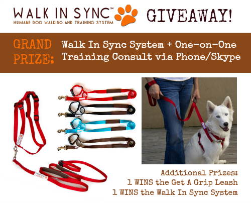 Walk In Sync Giveaway