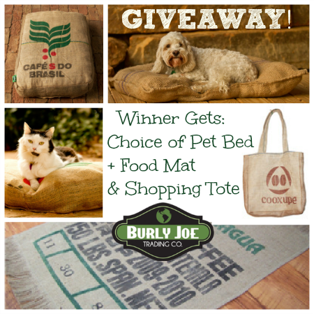 eco-friendly pet bed and gear