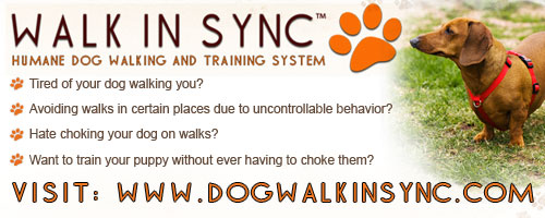 humane dog training