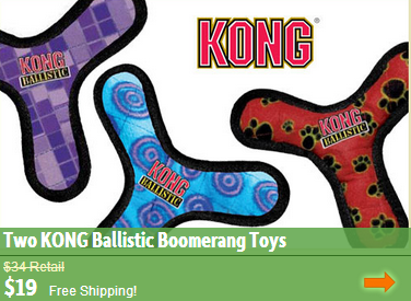 kong boomerang dog toy