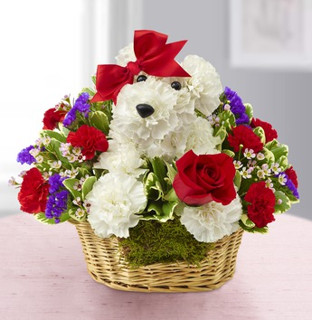 Valentine's flowers cute dog