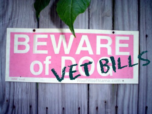 avoid high vet bills with good pet insurance