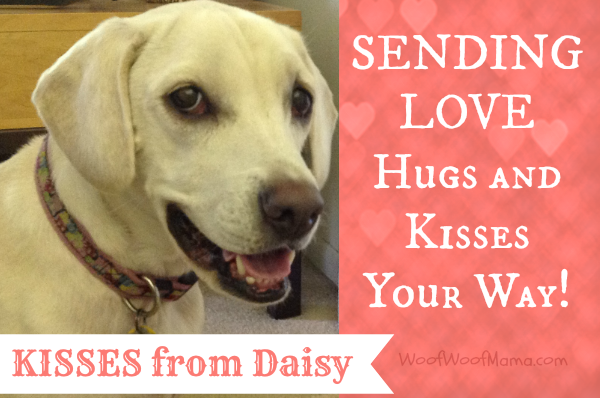 Daisy valentines day kisses