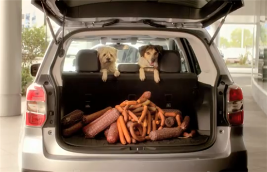 Subaru dogs
