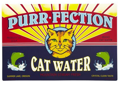 cat water mat