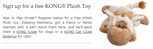free kong toy for dog or cat