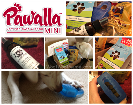 Pawalla Mini Box for Dogs