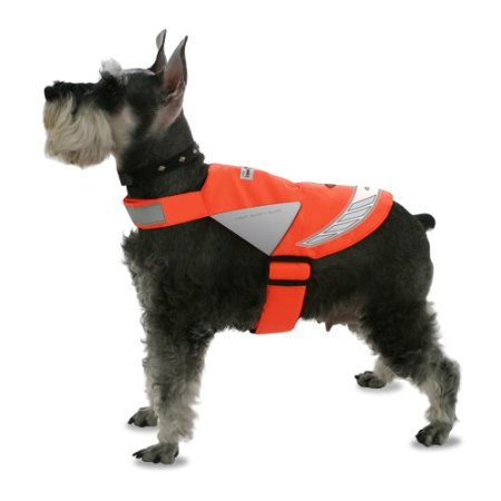 pet safety vest for night walks