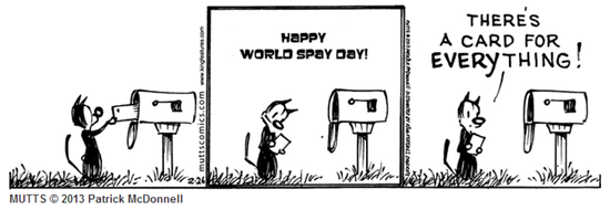 World spay day