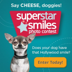 superstar smiles photo contest