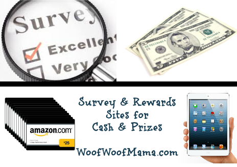 earn cash and rewards for taking surveys