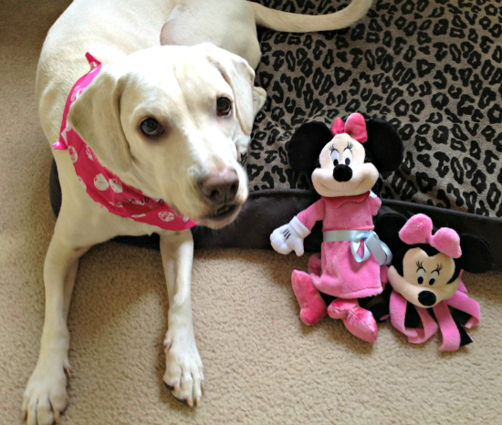 Daisy Disney dog toys