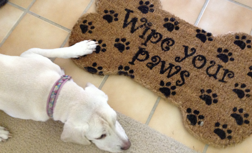 wipe your paws mat
