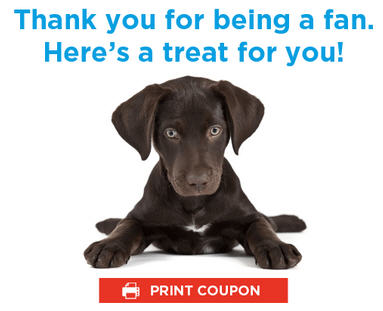 petco coupons