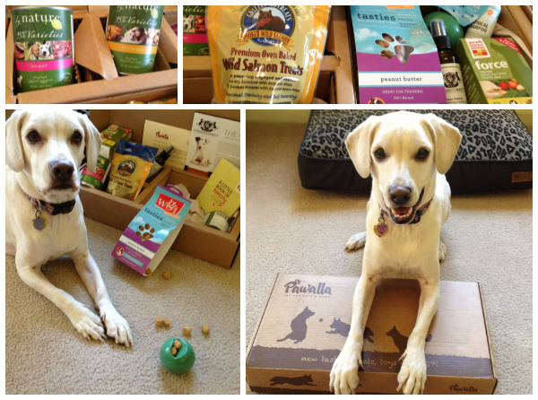 Pawalla Box for Dogs, what's inside plus promo code discounts