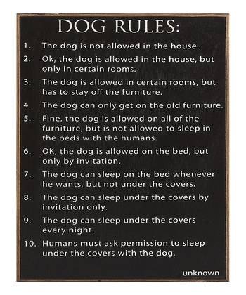 dog rules