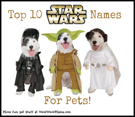 Top 10 Star Wars Names for Pets