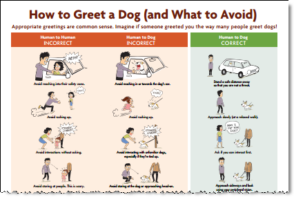 greet dog poster