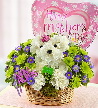 Mother's Day Flowers for dog lovers