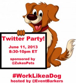twitter party dog