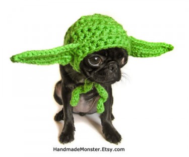 yoda hat for dogs