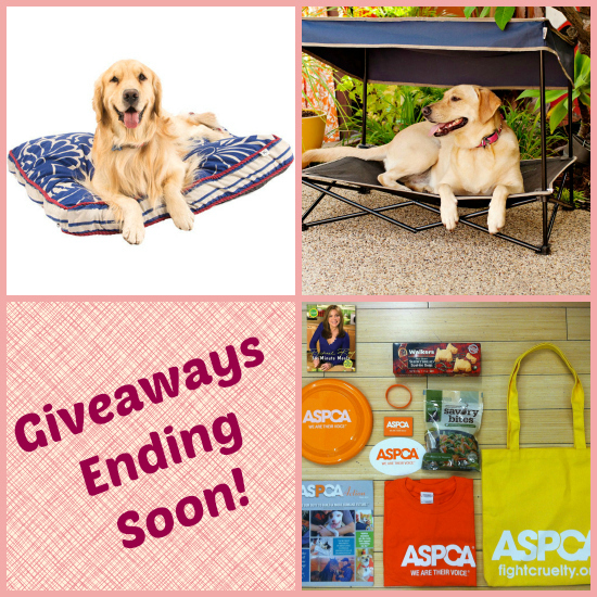 pet prizes for giveaways ending in June
