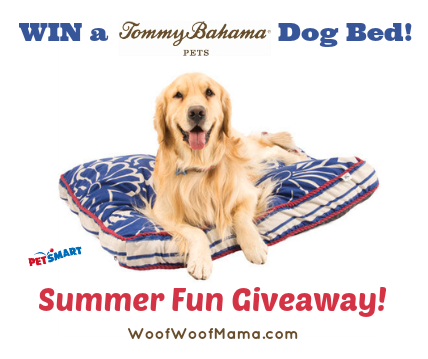 Tommy Bahama Dog Bed Giveaway!