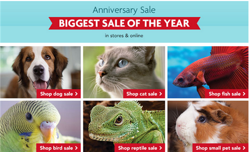 anniversary pet sale