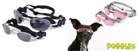 doggles sunglasses for dogs