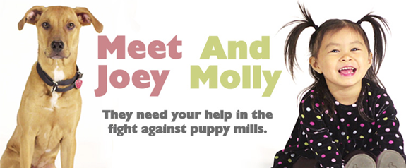 Help end puppy mills