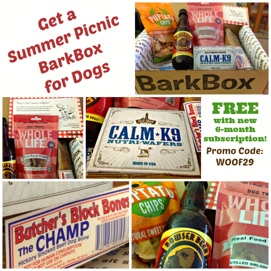 summer picnic offer