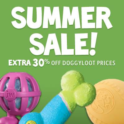 summer pet sale 